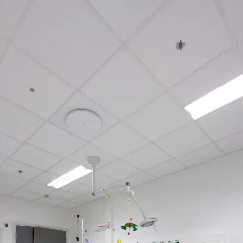 Taiga Hygiene Acoustical Ceiling
